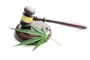 Medical Marijuana Court Decisions Support Employers