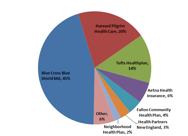 pie graph of health insurance providers